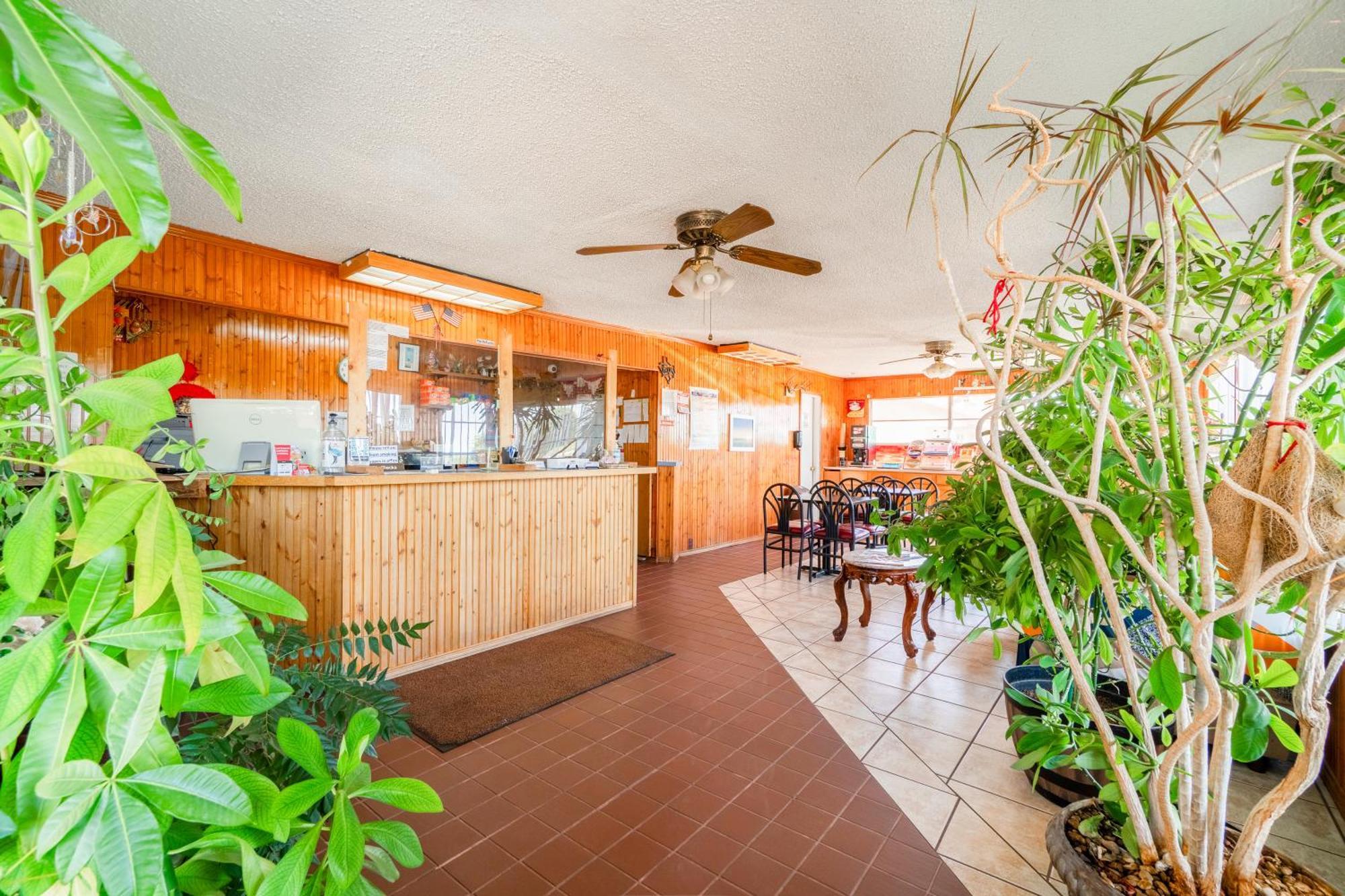 Lone Star Inn By Oyo Vernon Texas Hwy 287 エクステリア 写真